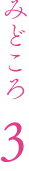 みどころ3