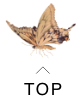 戻る
